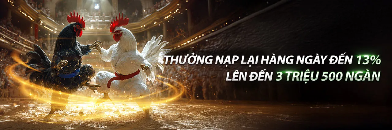 Sân vận động sôi động với giao diện cá cược thể thao MH88